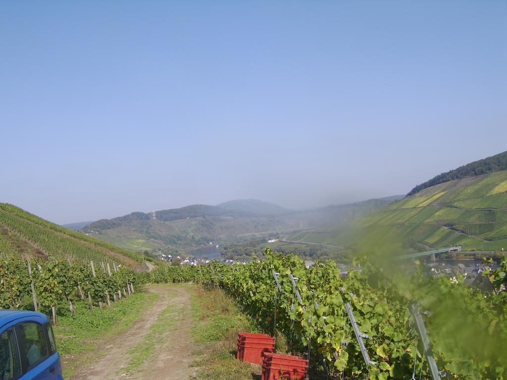 Weingut Matthias Dauns Apartment Reil Bagian luar foto