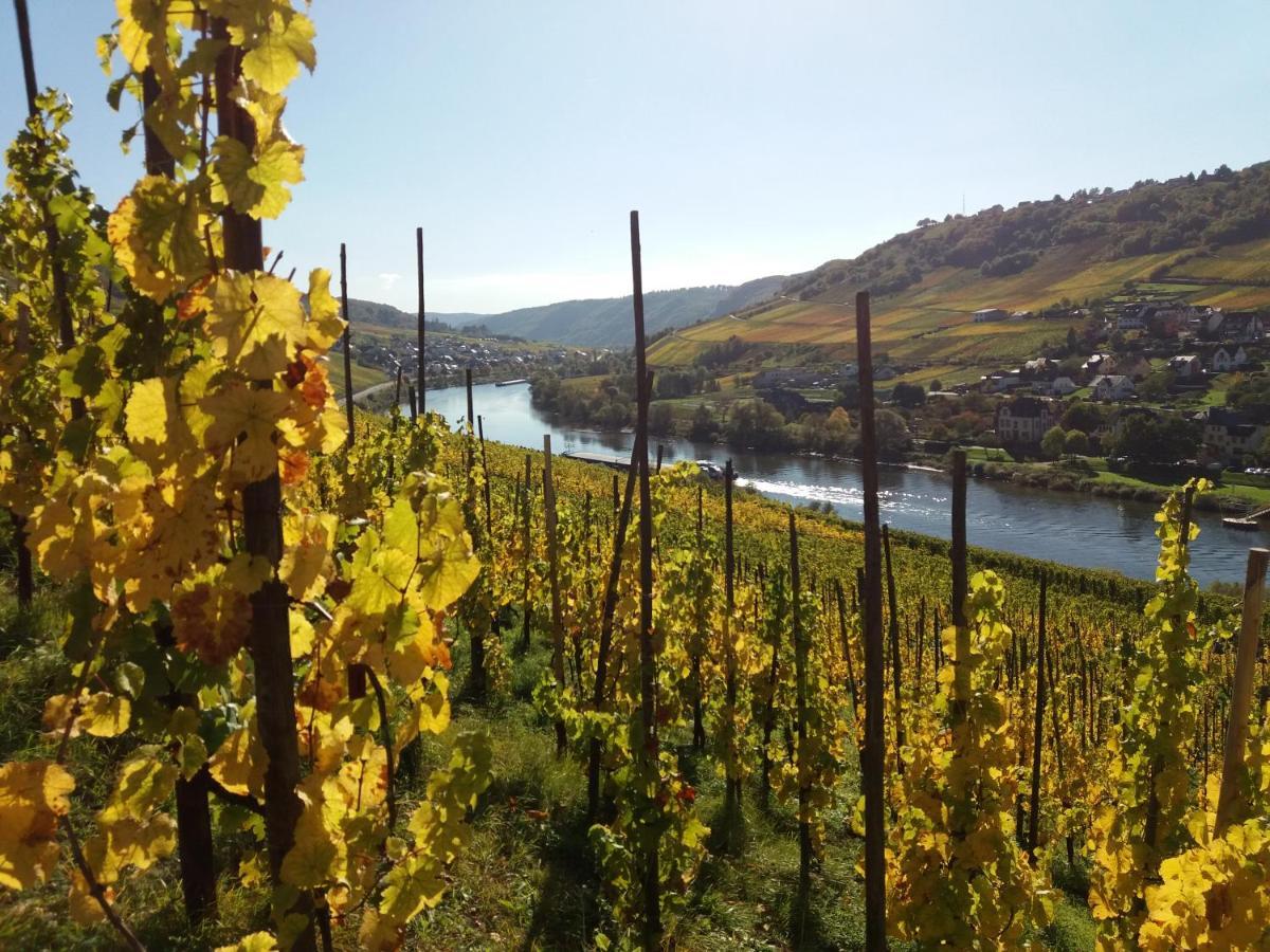Weingut Matthias Dauns Apartment Reil Bagian luar foto